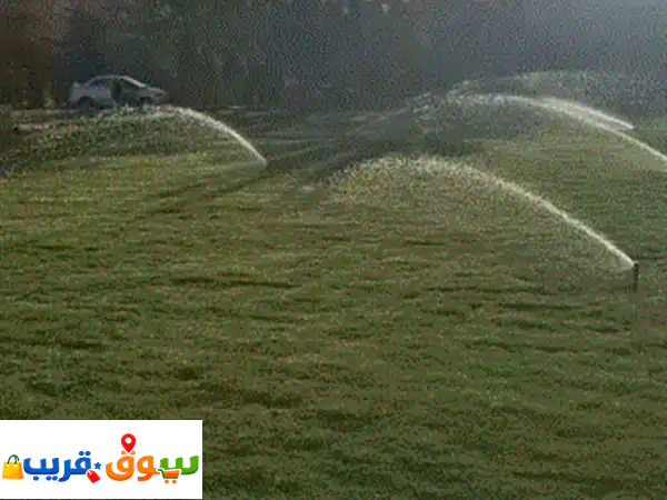 لدينا ثيل طبيعي بكامل تجهيزات الموقع 2