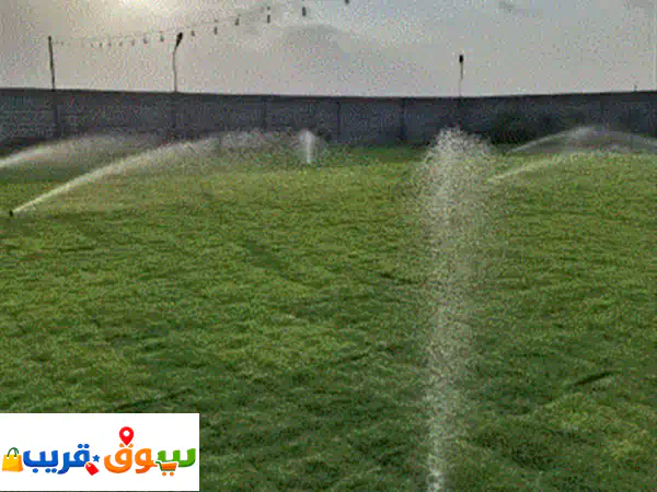لدينا ثيل طبيعي بكامل تجهيزات الموقع 3