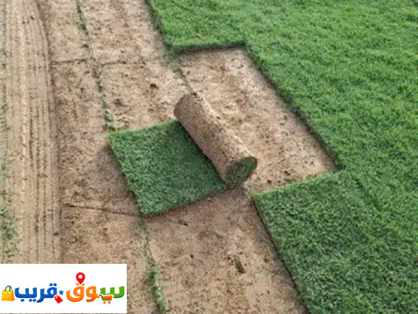 لدينا ثيل طبيعي بكامل تجهيزات الموقع 4