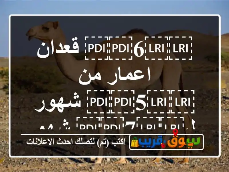 ⁦⁦6⁩⁩ قعدان اعمار من ⁦⁦5⁩⁩ شهور ل⁦⁦7⁩⁩ شهور