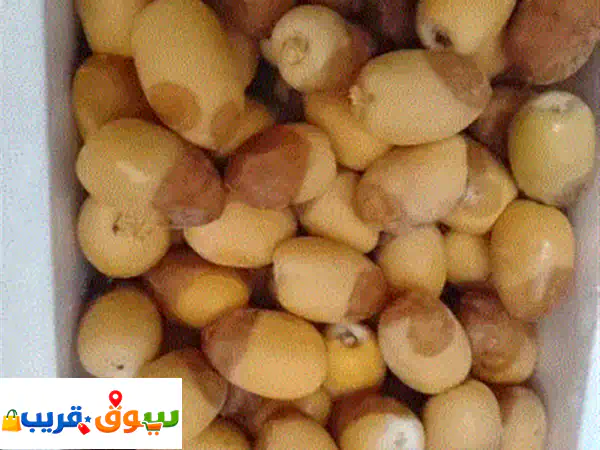 بيع/ تمور فاخره جميع أنواع التمور الرطب 2