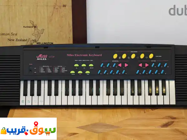 Miles Electronic Keyboard  37 Keys, very good Working Condition