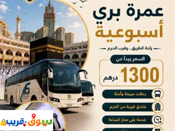 تأشيرات المملكة العربية السعودية  اصدار تأشيرات سياحية  تأشيرات زيارة  تأشيرات عمرة  سرعة في ... 3