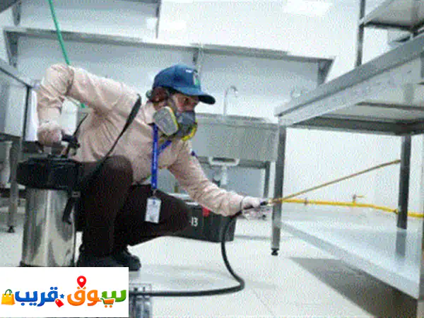 وداعًا للآفات! مكافحة حشرات احترافية بالإمارات مع الألماس الأزرق – احجز الآن 3