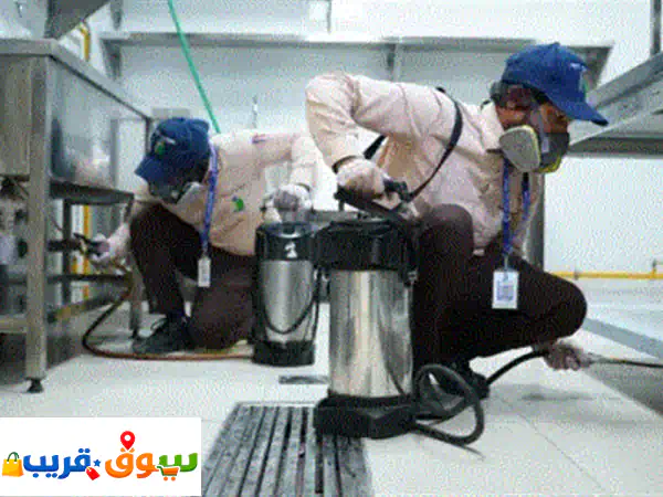 وداعًا للآفات! مكافحة حشرات احترافية بالإمارات مع الألماس الأزرق – احجز الآن