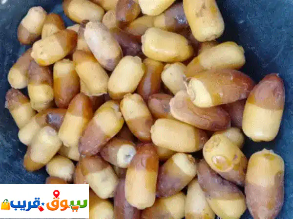 بيع/ تمور فاخره جميع أنواع التمور الرطب