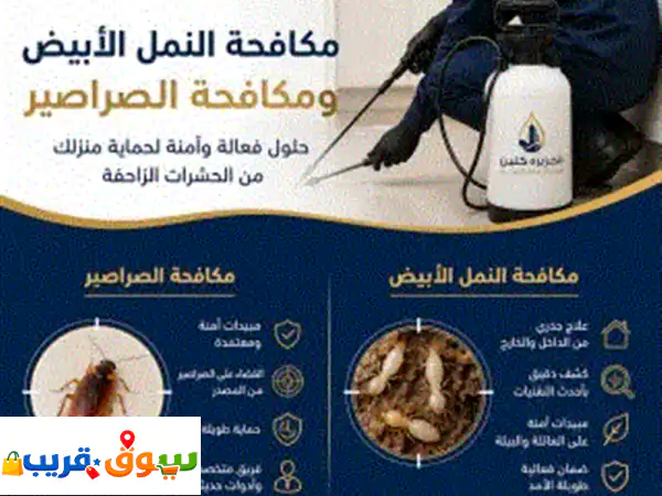 مكافحة حشرات بالمنطقة الشرقية: رش مبيدات، دفان | الدمام الخبر 3