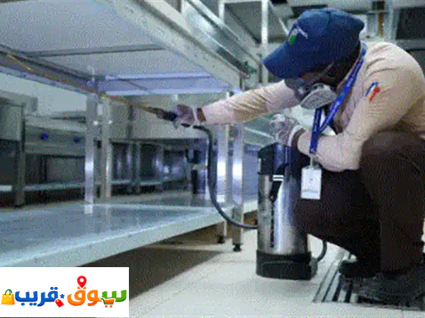 وداعًا للآفات! مكافحة حشرات احترافية بالإمارات مع الألماس الأزرق – احجز الآن 2
