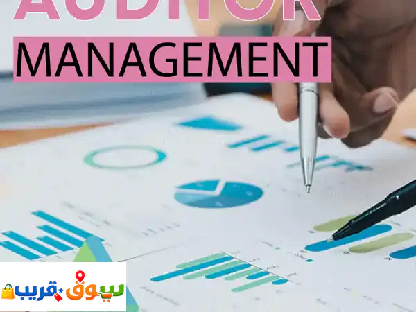 Finance Auditor Management