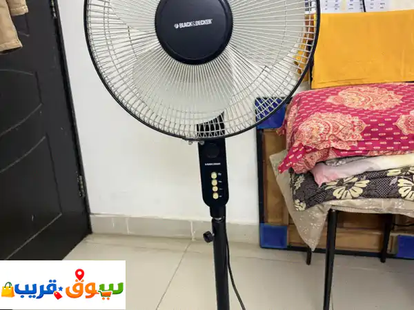 Standing fan 2