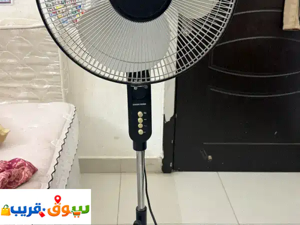 Standing fan 3