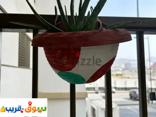 أثاث حدائق فاخر ونباتات الألوفيرا والدفلة: جمال منزلك يبدأ هنا!