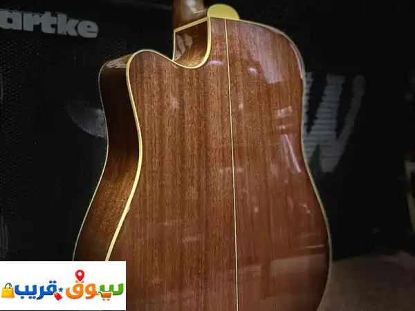 takamine semi acoustic guitar