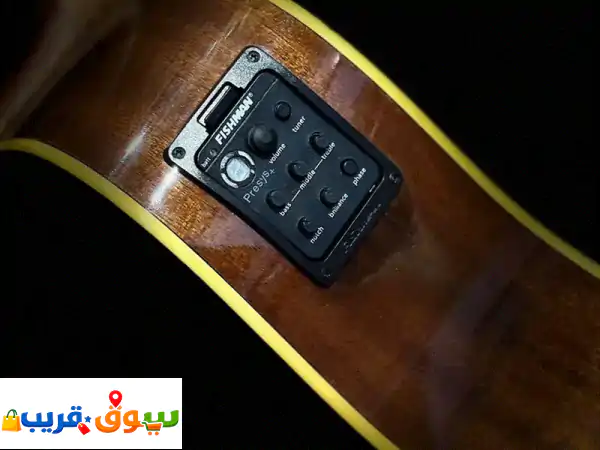 takamine semi acoustic guitar 4