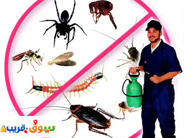 شركة ابداع العالمية لمكافحة الحشرات والرمة النمل الصراصير البق السحالي البق الفئران مكافحة حشرات ...