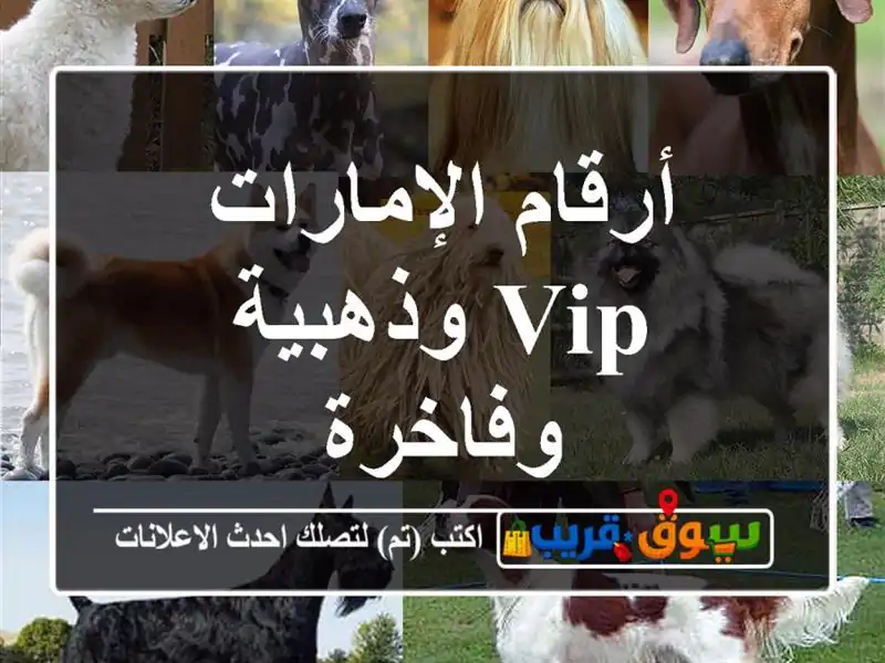 أرقام الإمارات  VIP وذهبية وفاخرة