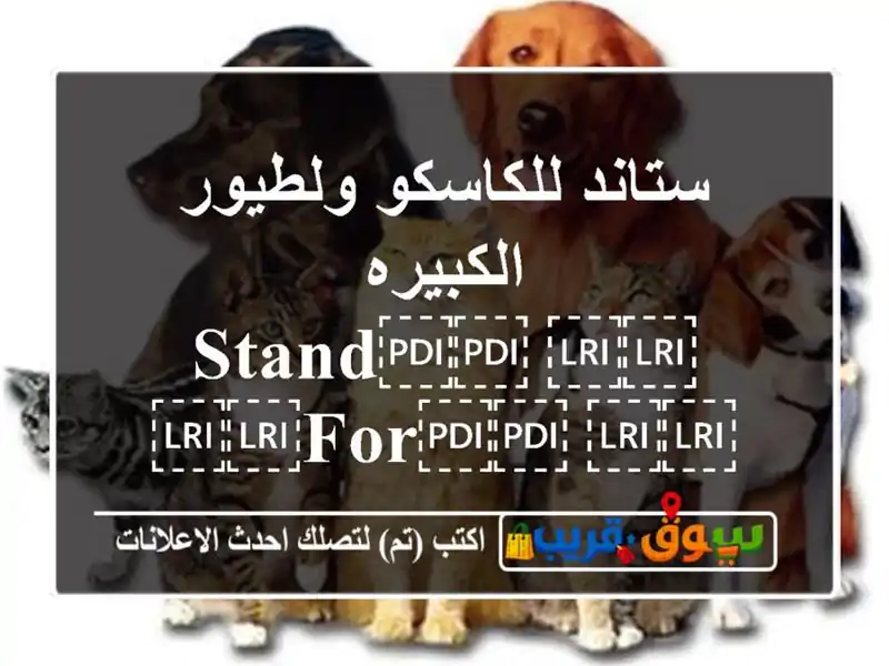 ستاند للكاسكو ولطيور الكبيره ⁦⁦Stand⁩⁩ ⁦⁦for⁩⁩ ⁦⁦large⁩⁩ ⁦⁦birds⁩⁩