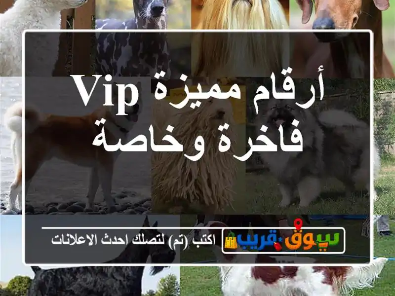 أرقام مميزة VIP  فاخرة وخاصة