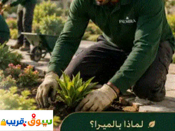 خدمات تنسيق الحدائق والزراعة  palmira landscaping هل ترغب في تحويل حديقتك إلى مساحة خضراء مميزة؟ ... 2