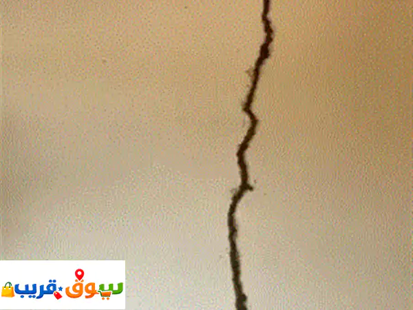 مكافحة الحشرات الصراصير بالجل والرش وبق الفراش وهدب الحمام والقوارض والطيطار للتواصل اتصال للتواصل