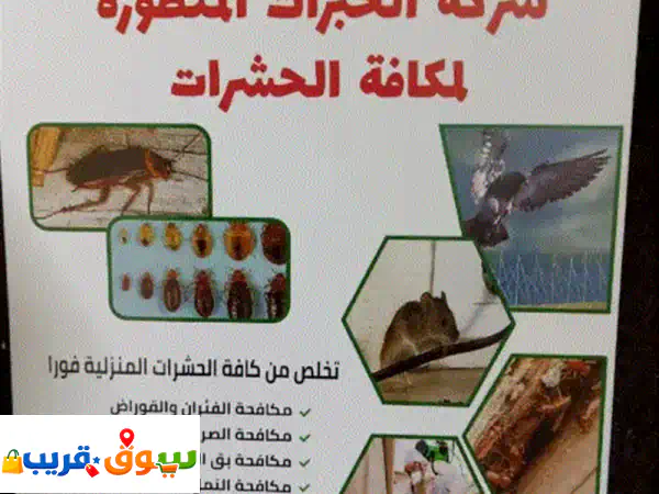 مكافحة الحشرات الصراصير بالجل والرش وبق الفراش وهدب الحمام والقوارض والطيطار للتواصل اتصال للتواصل 3