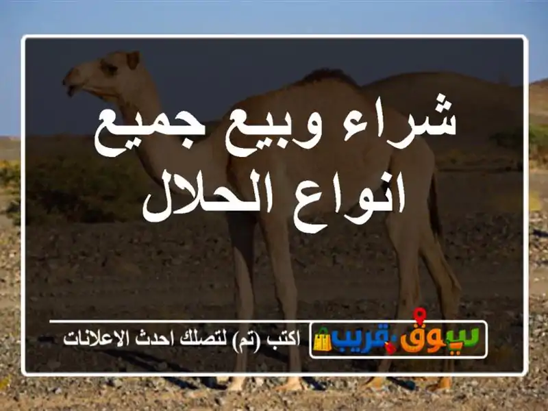 شراء وبيع جميع انواع الحلال