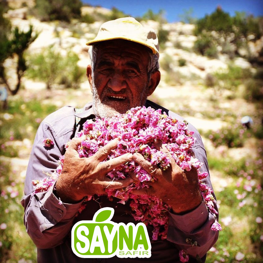 Sayna Safir