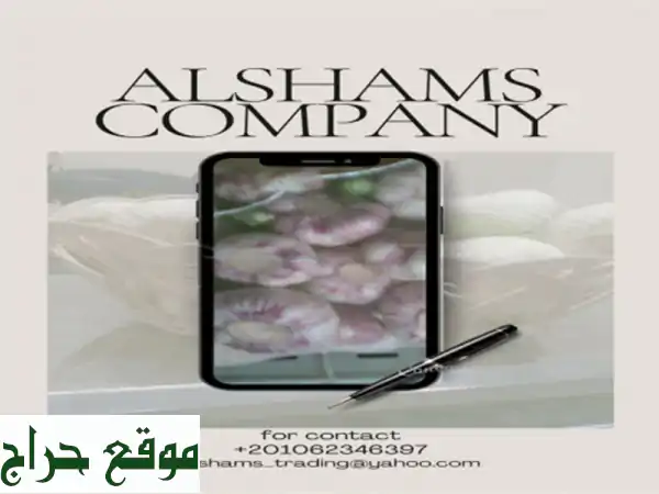 hello we're alshams company <br/>we're global exporter and supplier of #fresh garlic...