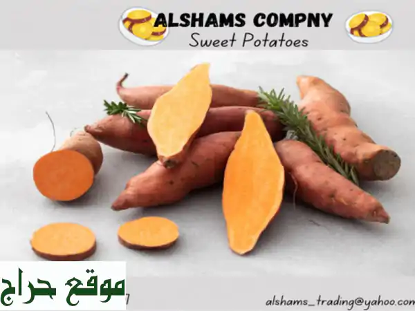 hello we're alshams company <br/>we're global exporter and supplier of #sweet potatoes...