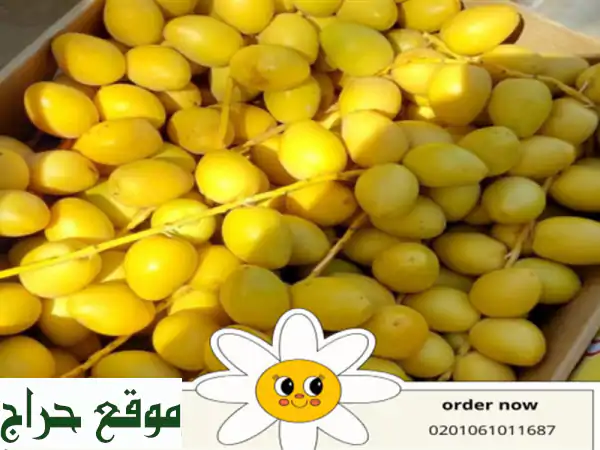 we are alshams for general import and export . <br/>we can supply all kinds of...