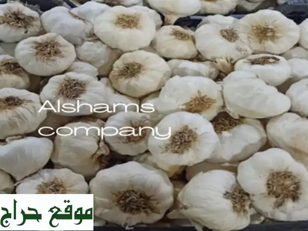 we are alshams for general import and export . <br/>we can supply all kinds of agricultural products ...