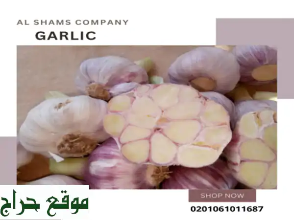 we are alshams for general import and export . <br/>we can supply all kinds of...