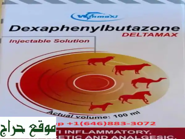 Buy dexaphenylbutazone 100 ml oinline