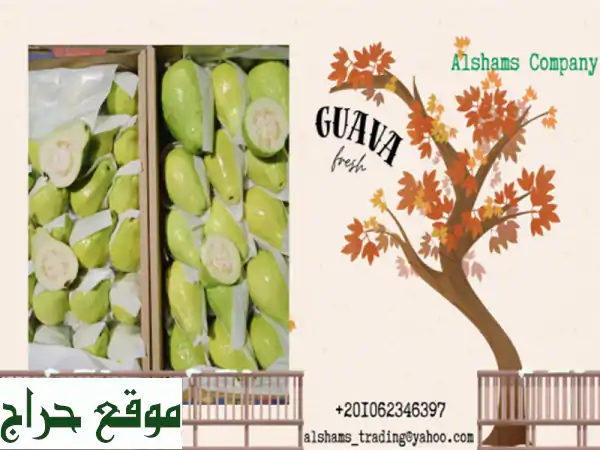 fresh guava