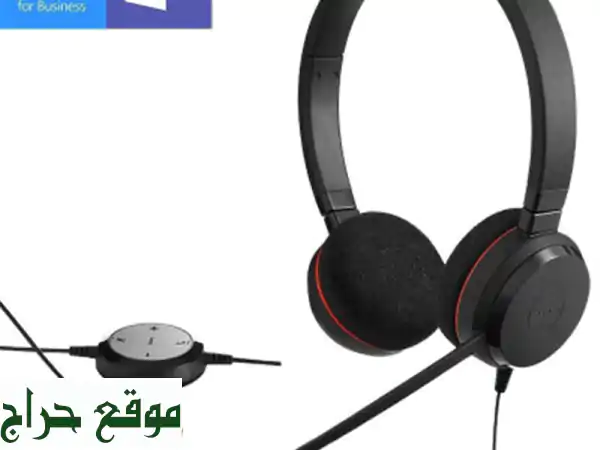 Casque professionnel Jabra Evolve 20 USB MS Duo