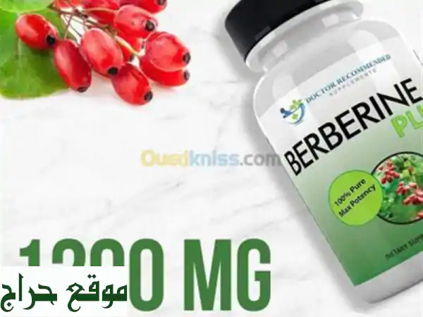 BERBERINE Pure 1200 MG  MADE IN USA