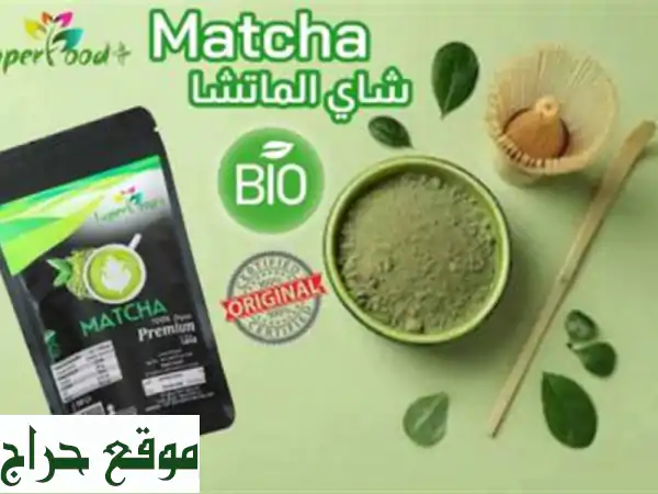 MATCHA ماتشا