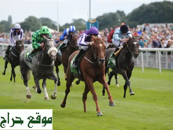 فرصة استثمارية في مضامير سباقات الخيل والانتاج...