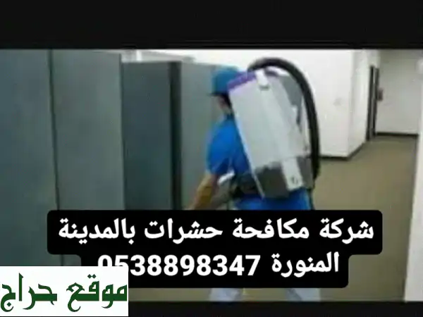 أفضل شركة رش حشرات الصراصير والنمل والوزغ والبق...