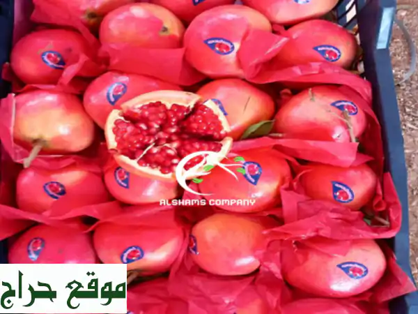 fresh pomegranate