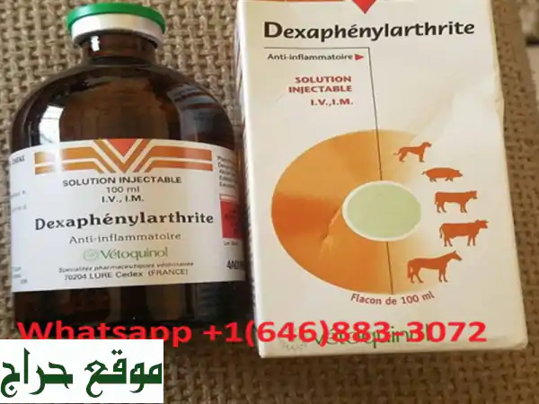 Dexaphenylarthrite 100 ml