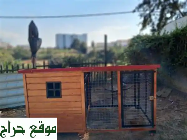 Niche et cage pour chien بيوت كلاب