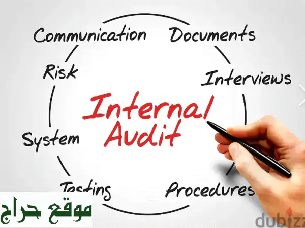 Professional Internal Audit Services