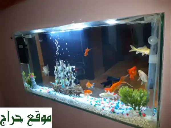 Conception d'aquarium, Equipements, Poissons et Entretien