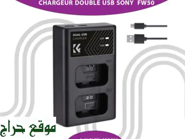 CHARGEUR DOUBLE USB SONY FW50