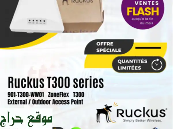 Ruckus T300 series