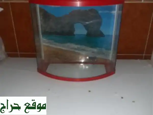 Aquarium 40 litre avec Poissons et accessoires complet