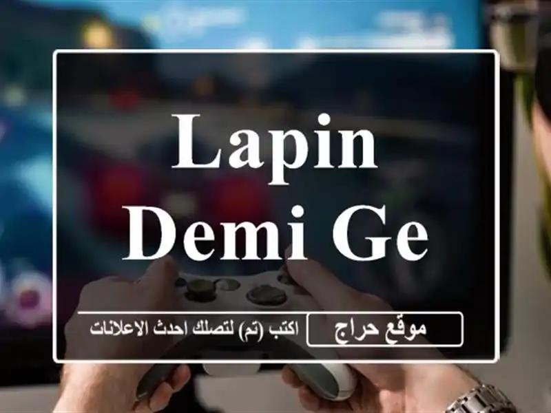 Lapin Demi Geant