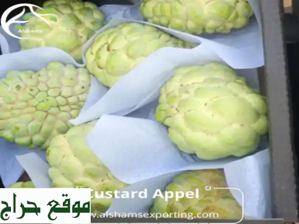 custard appel