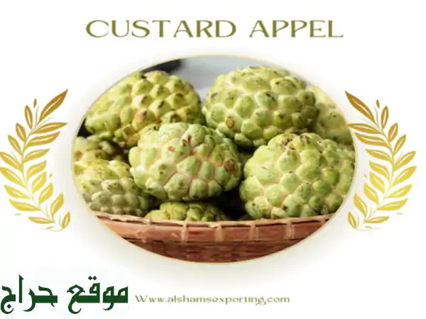 custard appel